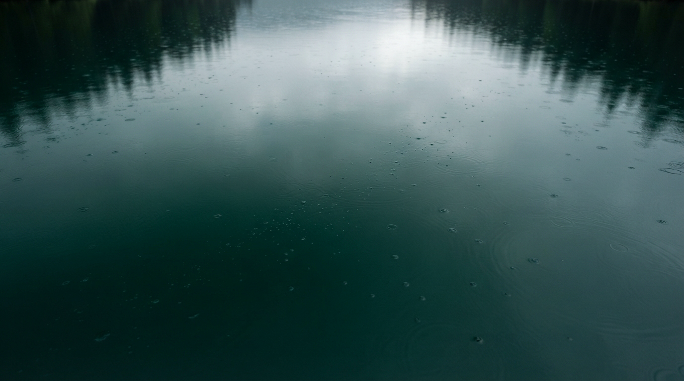 波紋を重ねる水面の写真